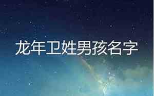 卫姓男宝宝名字