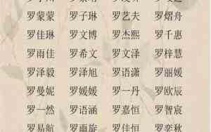 好听的罗姓男宝宝名字