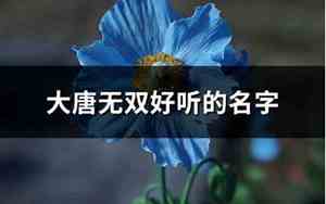 大唐风格好听的名字