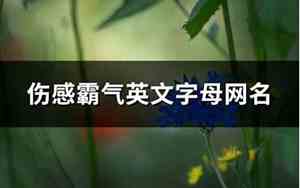 伤感霸气网名