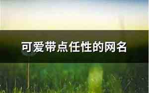 任性网名