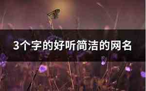 好听简洁的网名