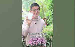 实在记不住好名字怎么办