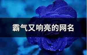 响亮的网名