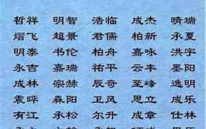 潮汕宝宝男孩名字大全
