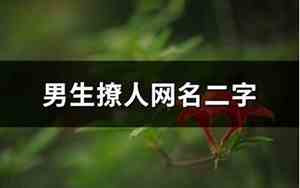 二字网名男生