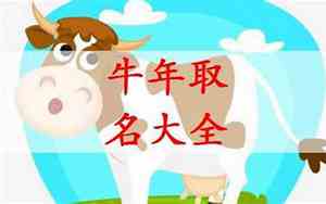 施姓牛宝宝名字