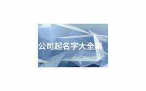 广州软件公司起名字推荐
