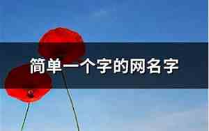 一个字的网名