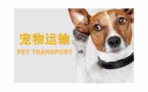 中山比较牛的公司名字