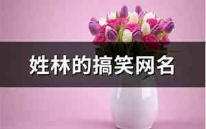 姓林的网名