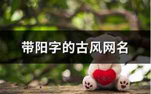 带阳的网名
