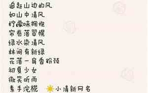 好听的微博名字小清新