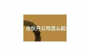 合伙开公司起名字怎么起