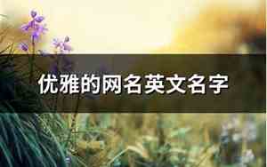 优雅的网名