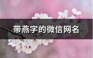带燕的网名