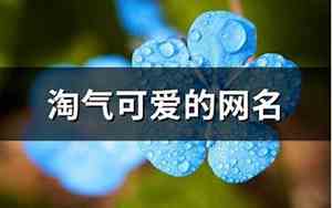 淘气网名