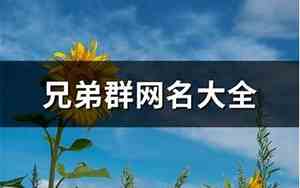 兄弟群网名