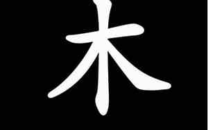 含有木字的公司名字