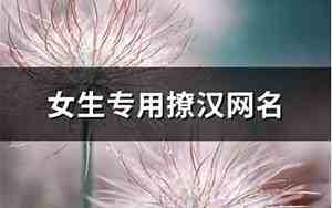 女生专用撩汉网名