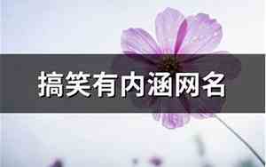 搞笑内涵的网名