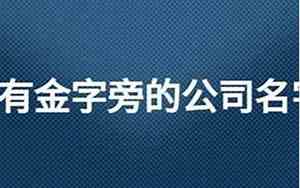 带大金的公司名字