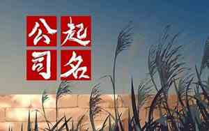 商贸公司起名霸气