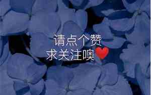 枫和婷好听的cp名