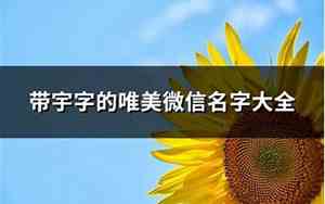 带宇字的网名