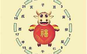 牛宝宝富贵命的名字