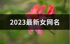 最新女网名