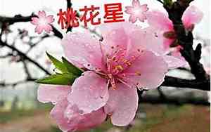带桃花的好听名字