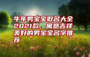 牛年男宝宝吉祥名字