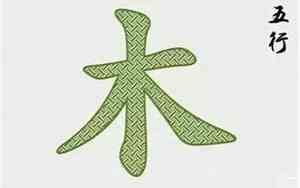 五行属木的有什么好名字