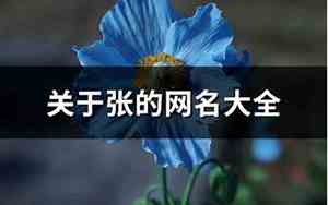 张字网名