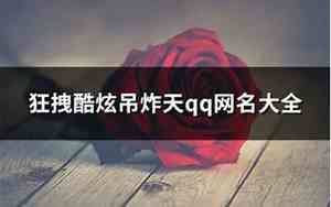 吊炸天的网名