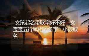 宝宝带欣的名字
