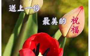 早上好听的照片