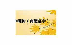 有趣创业好名字