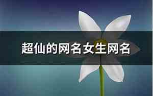 仙的网名
