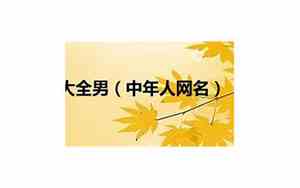 中年人的网名