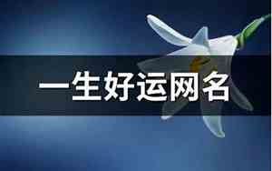 八方网名