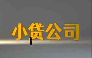 低调小贷公司名字大全