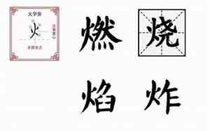 带火的文化公司名字