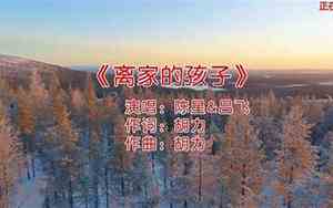 好听的音乐离家的孩子