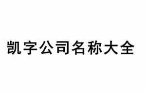 带凯的篮球公司名字