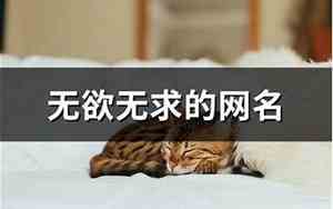 无欲无求的网名