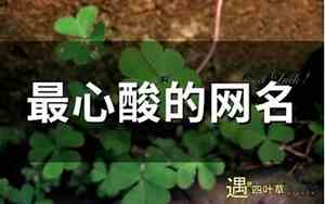 心酸网名