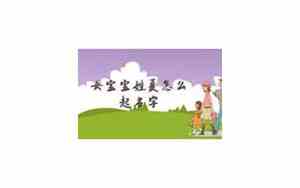 夏氏宝宝名字