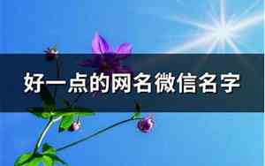 好一点的网名